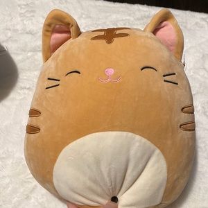 NATHAN CAT SQUISHMALLOW 🐈
